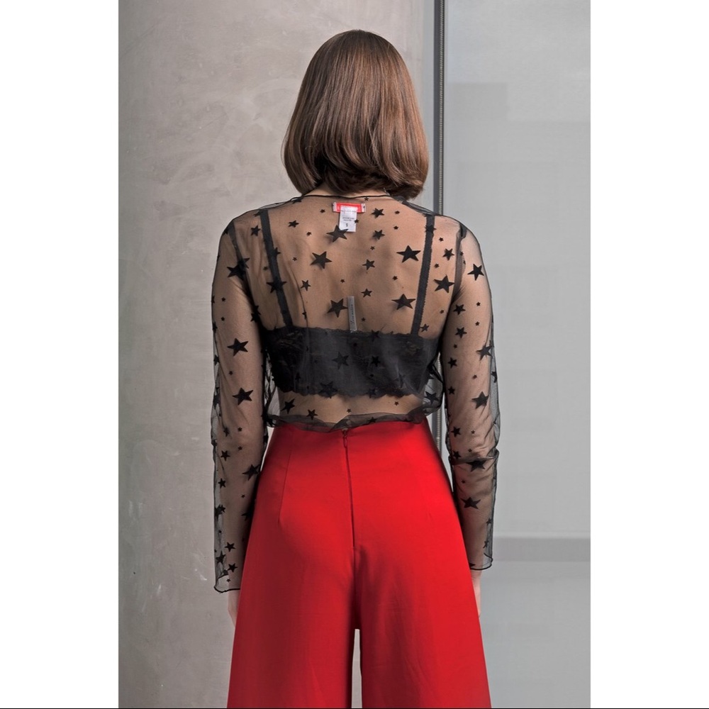 Star Sheer Long Sleeve Top - Picture 4 of 7